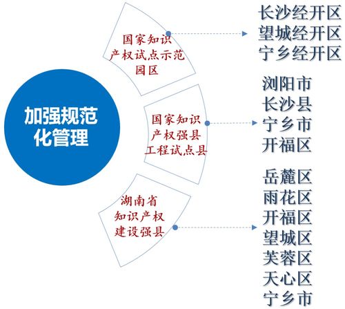 长沙市 十三五 知识产权事业发展成就