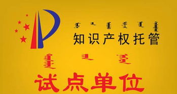 欣洋瑞知识产权代理商标 专利 高新技术企业