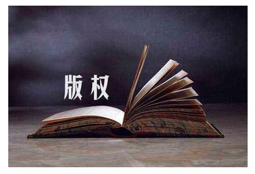新闻中心 开颜知识产权服务