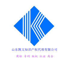 山东凯文知识产权代理