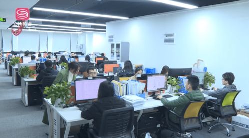 深圳新视野 报道深圳电视台播出 深圳市正德知识产权代理事务所